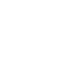 NationalFiles Logo